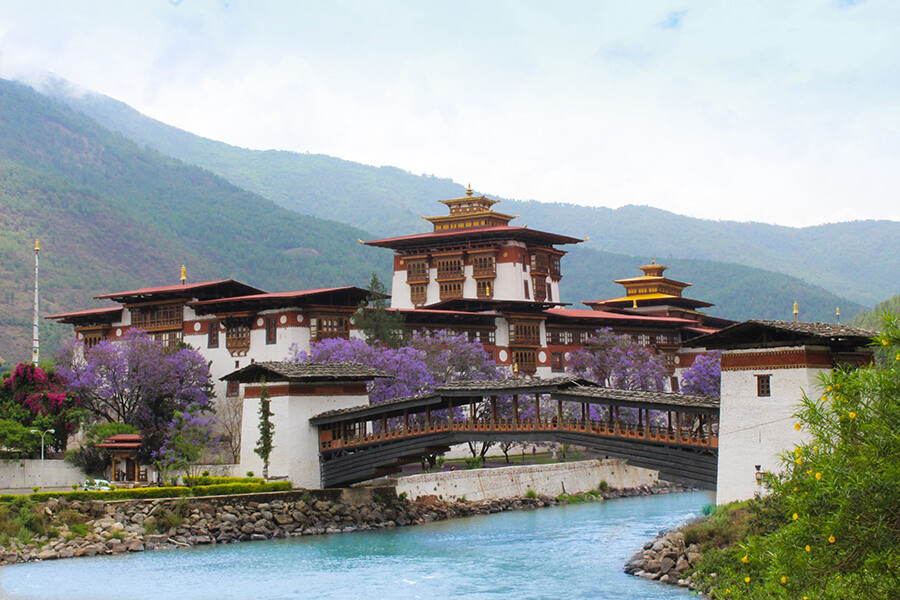 Spring - the best time to visit bhutan