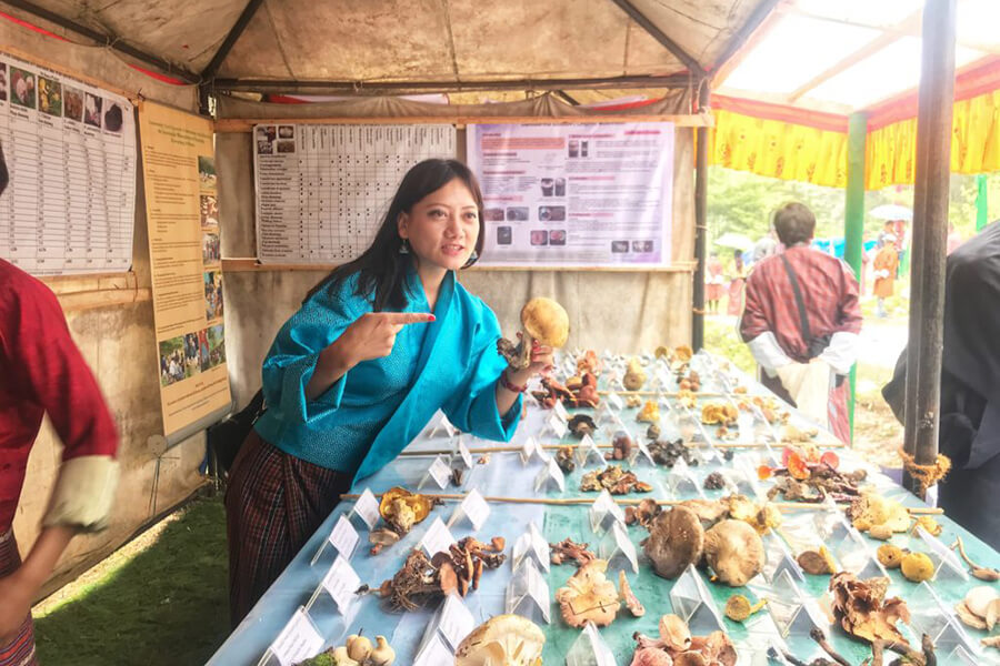 Matsutake Festival