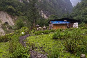 Laya of Bhutan