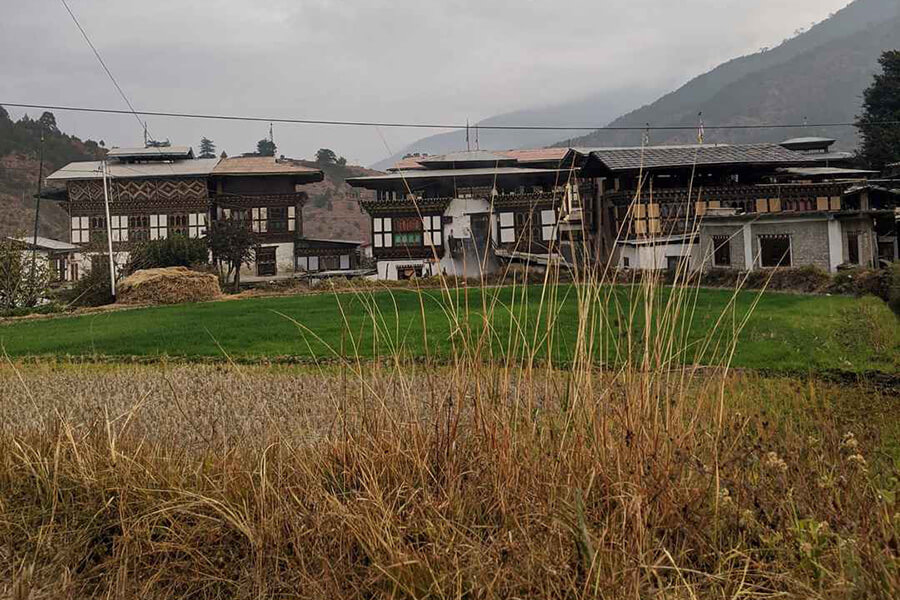 Chimi Lhakhang Village Homestay - 10 best homestays bhutan