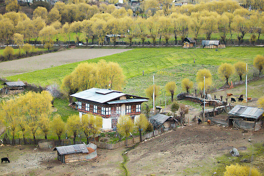 The 10 Best Homestays in Bhutan