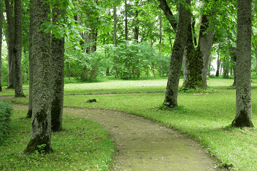 Phuentsholing Park