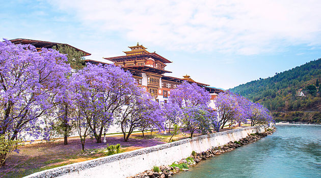 Spring in Bhutan tour itineraries