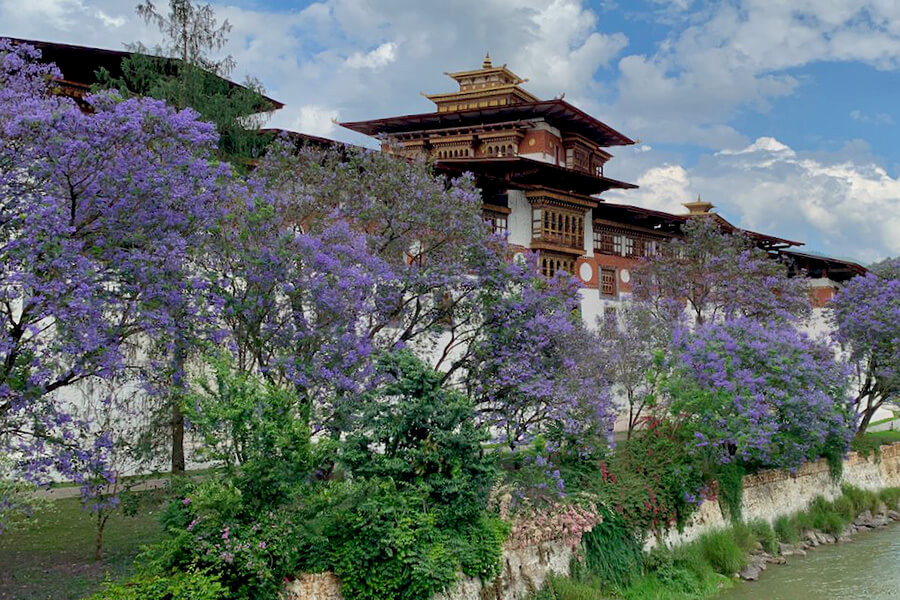 bhutan special promotion 1