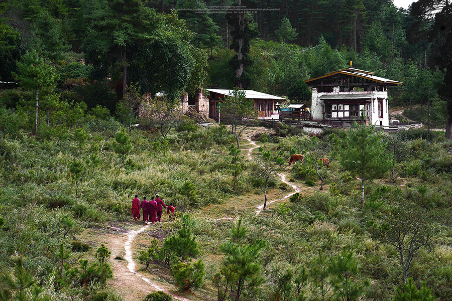 Limbukha Village best places visit punakha