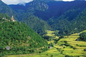 Bhutan environment - forests and wildlife conservation