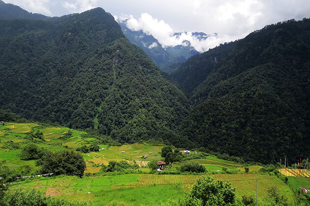 Thrumshingla National Park - bhutan environment conservation