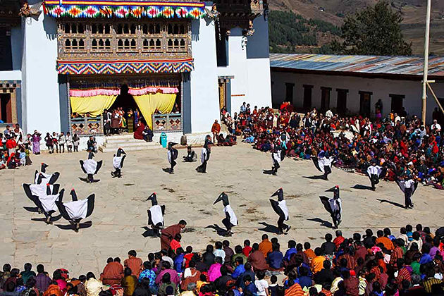 black necked crane tshechu - best bhutan festival tour
