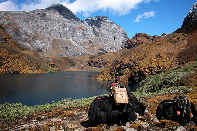 dagala thousand lakes trek - bhutan trekking tours