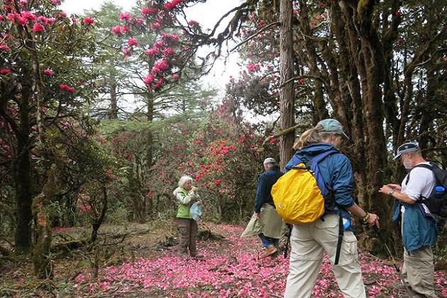 bhutan trekking tours spring