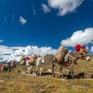 Jhomolhari - bhutan trekking tour