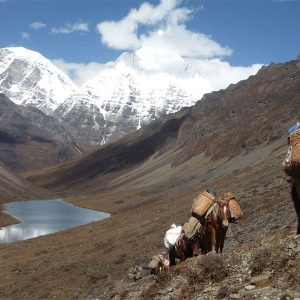 Soi Yaksa Valley - Bhutan 2 week itinerary