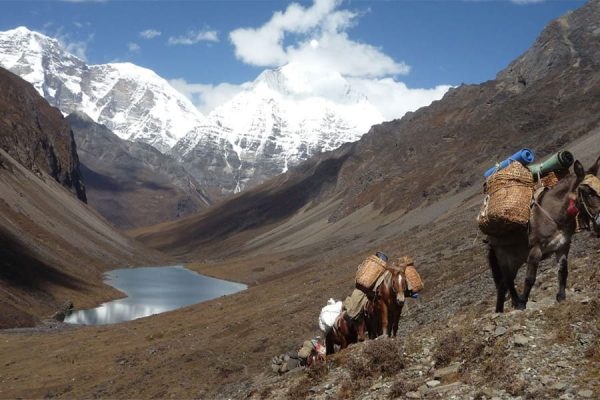 Soi Yaksa Valley - Bhutan 2 week itinerary