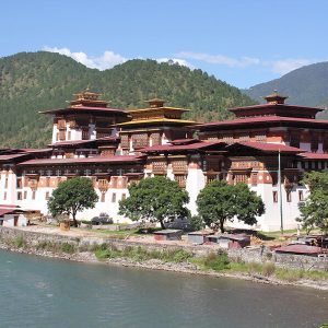 Thimphu_Bhutan tour (2)