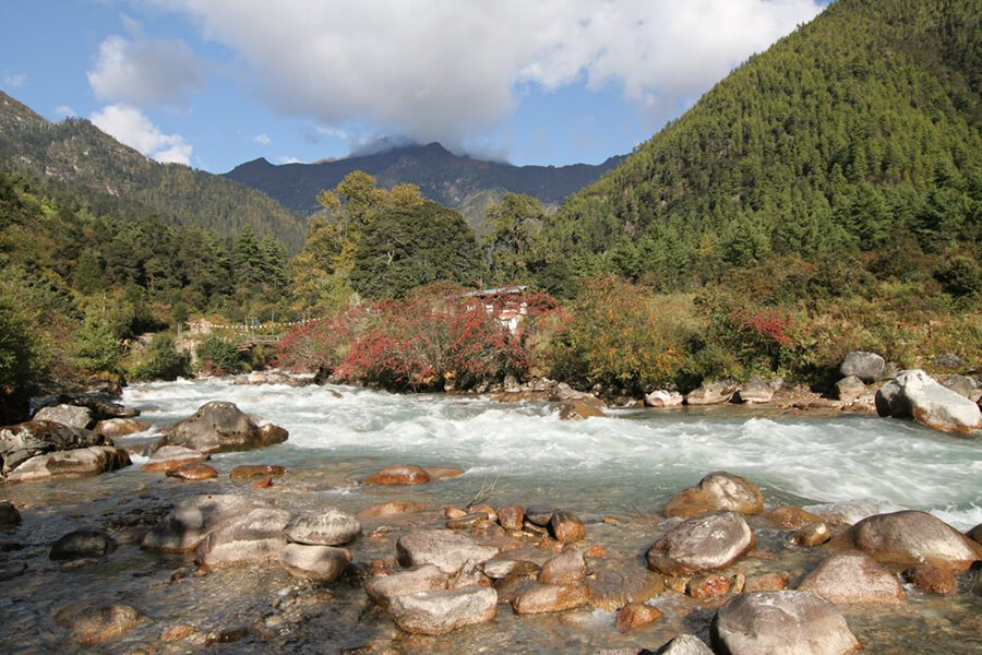 Jigme Dorji National Park - Bhutan tours