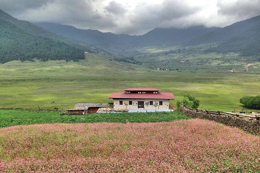 Phobjika Valley in Wangdue Phodrang - Bhutan tours