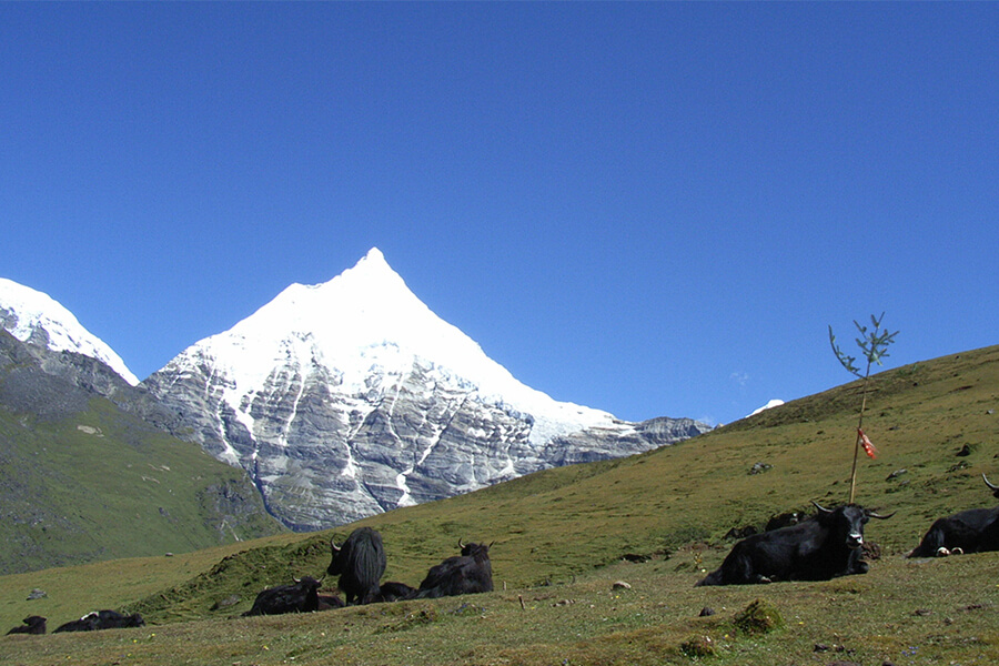 Mt. Gangkar Puensum - Bhutan vacation in 5 days