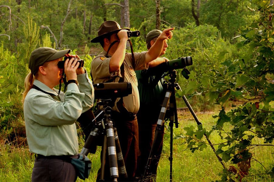 Bhutan birding tour packages in 9 days