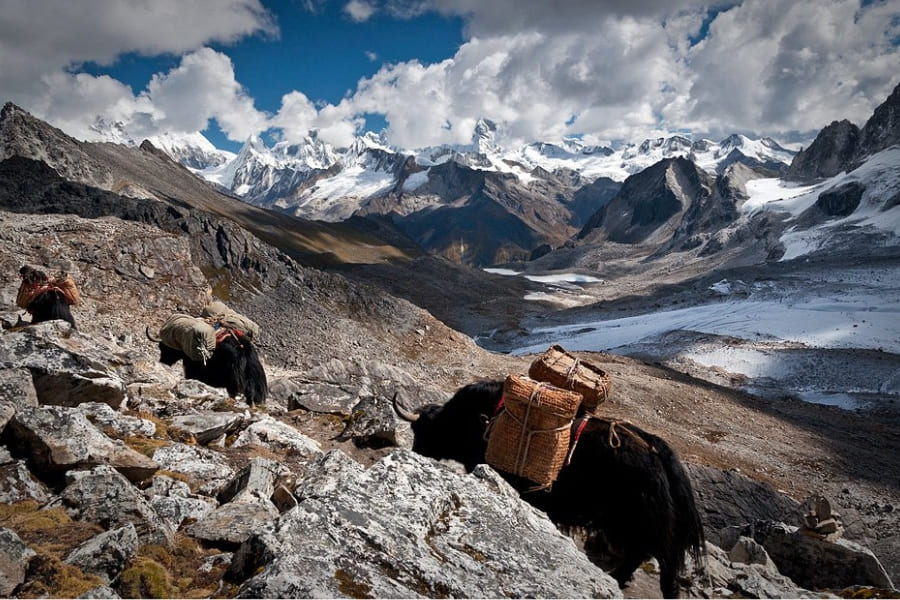 Dagala range - druk trek in bhutan trekking tour