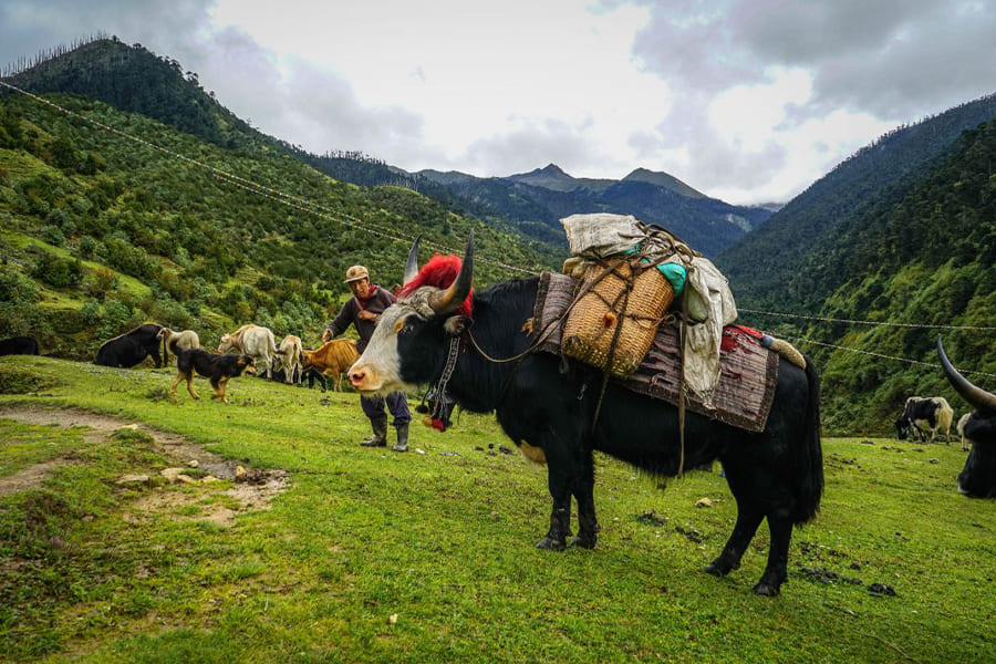 Sakten valley - best bhutan of the beaten track itinerary