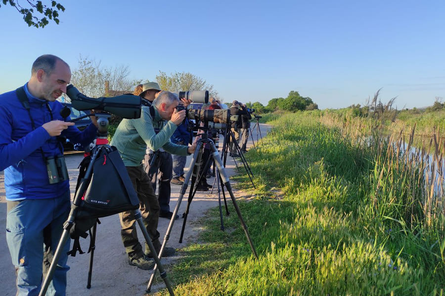 bhutan birding tours