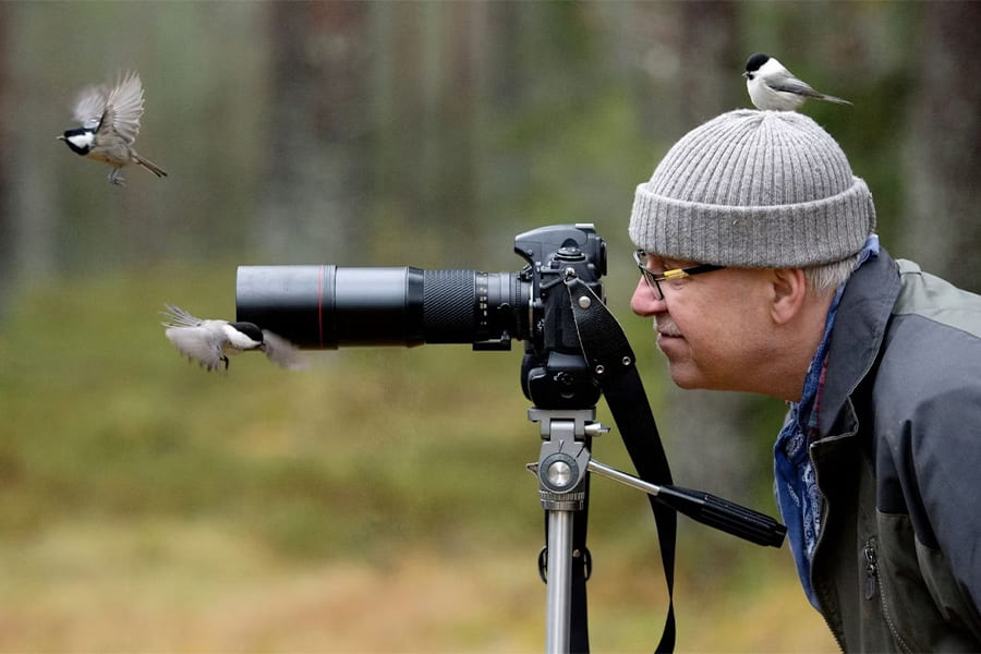bird watching - bhutan birding tour