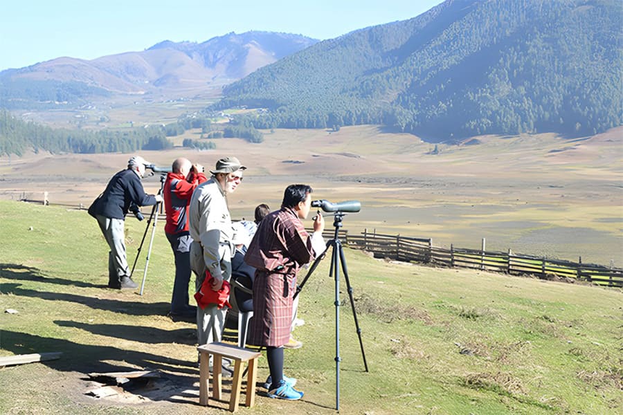 birding tours in bhutan