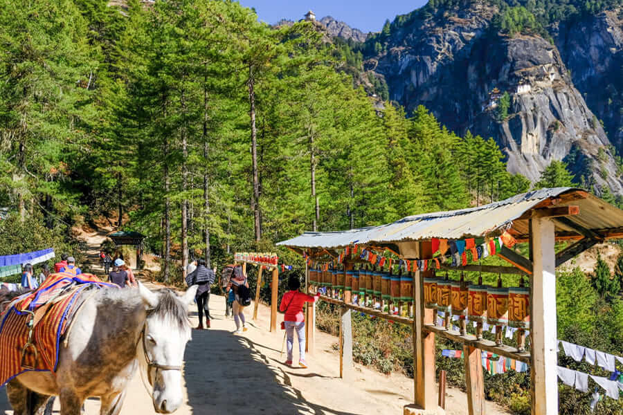 tiger nest hiking - bhutan birding tour packages