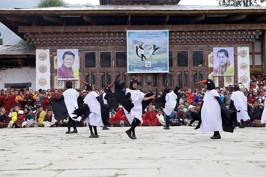 black necked crane festival in bhutan