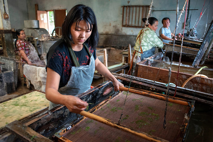 Jhunghi handmade paper factory - 7 days in bhutan