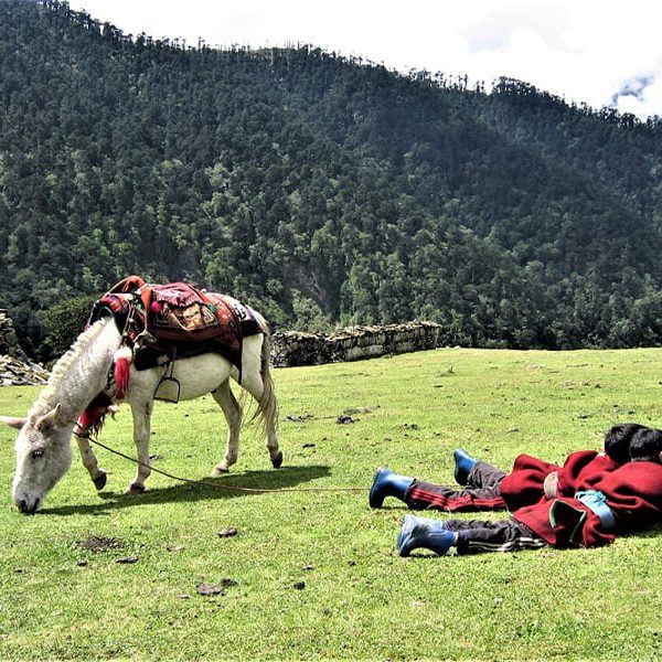 Merak Valley - bhutan trekking tour packages
