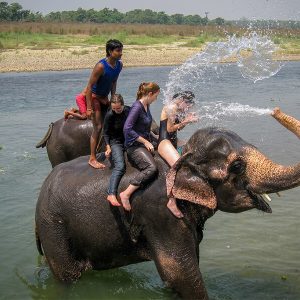 Chitwan National Park - nepal and bhutan trip