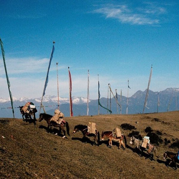 Royal Manas Trekking trips