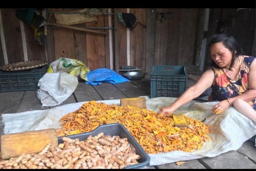 Bhutanese Herbal Medicine and Natural Remedies