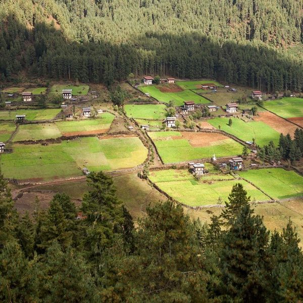 Bumthang Valley visit in day 14
