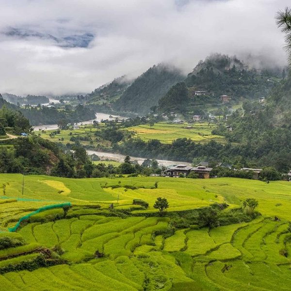 Lingmukha Valley in day 8 of bhutan visit