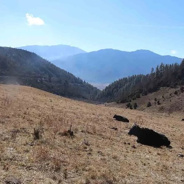 Sagala Trekking in bhutan tour